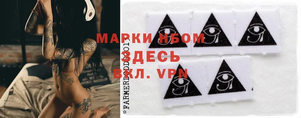 ГАЛЛЮЦИНОГЕННЫЕ ГРИБЫ Баксан