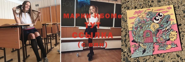 гашик Балахна