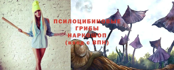 гашик Балахна