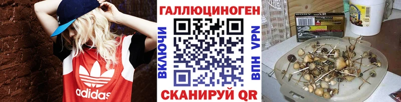 Псилоцибиновые грибы мухоморы  Купить закладки  Острогожск 