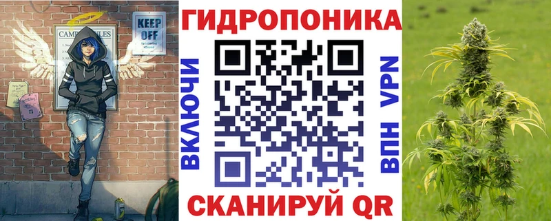 Купить закладки  Острогожск  Каннабис индика 